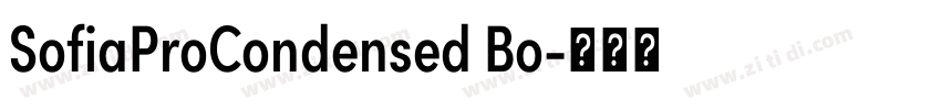 SofiaProCondensed Bo字体转换 SofiaProCondensed Bo字体转换